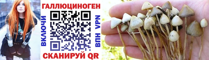 Псилоцибиновые грибы мухоморы  где купить наркоту  Щёлкино 